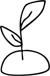 Acceso desde el origen